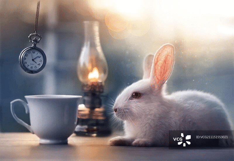 在冒着热气的咖啡杯和小白兔上摆动的怀表图片素材
