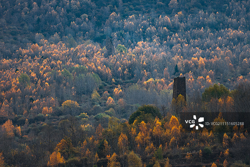 藏寨 民居 少数民族 碉楼图片素材