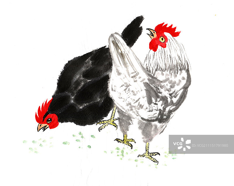 国画-母鸡图片素材