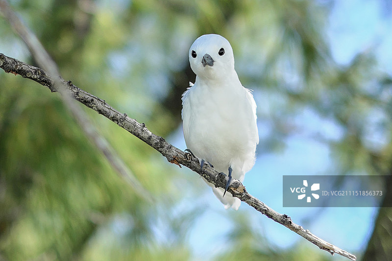 你在看什么？图片素材