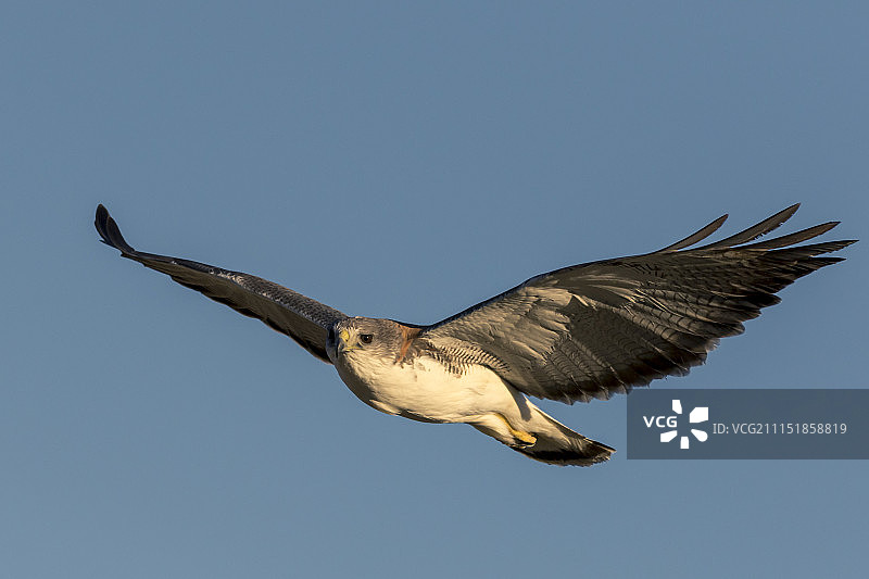 阿根廷马德林港图片素材