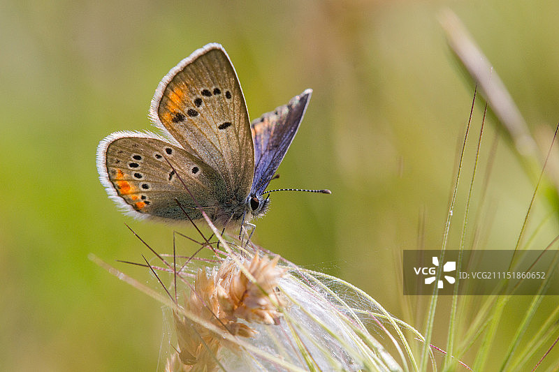 深蓝色图片素材