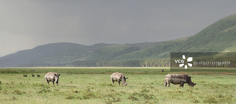 受到威胁图片素材