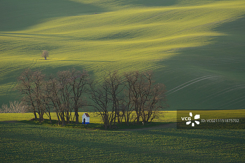 拥有魔毯的人图片素材