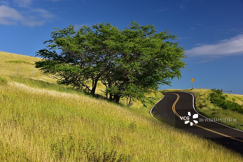 通往哈纳的考波牧场土地和公路图片素材