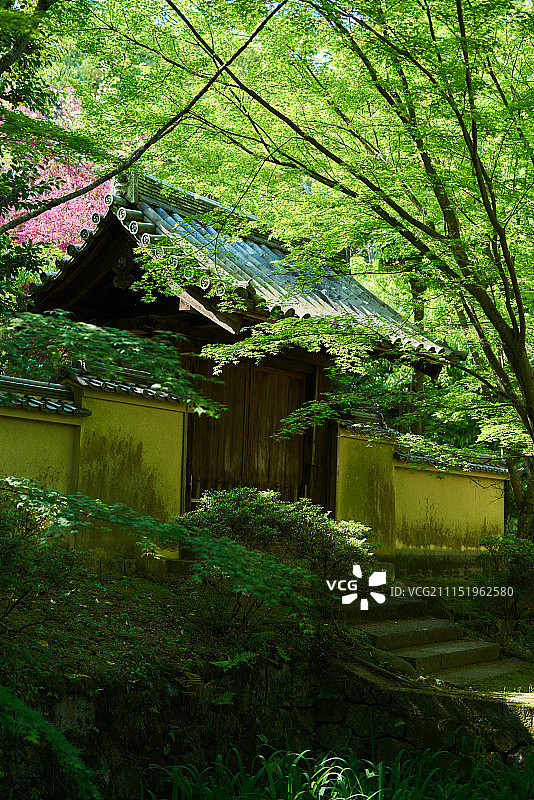 唐招提寺图片素材