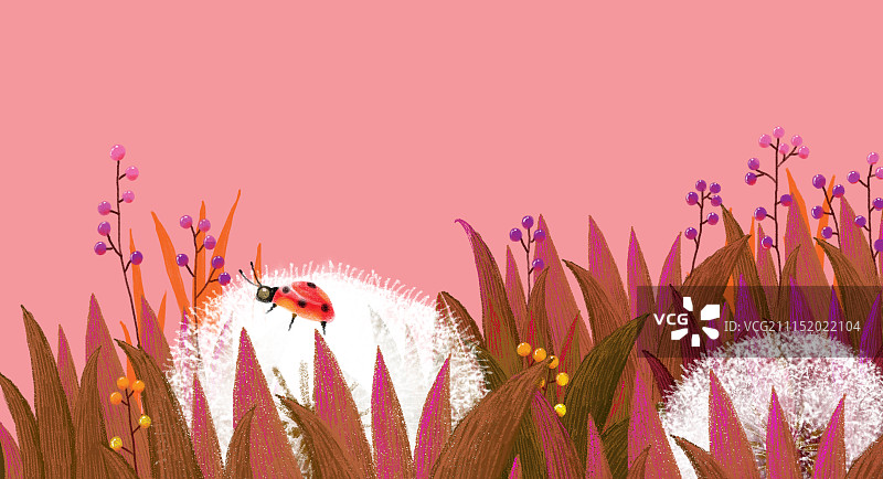 唯美背景元素组图共3000多幅-蒲公英图片素材