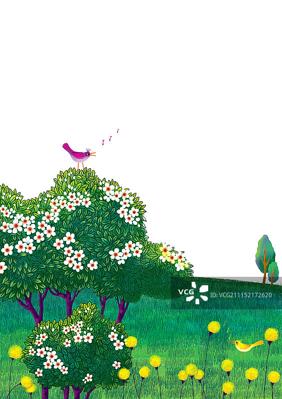 唯美背景元素组图共3000多幅-站在树上的鸟和站在草坪上的鸟图片素材