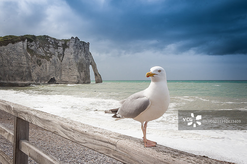 埃特雷塔特图片素材