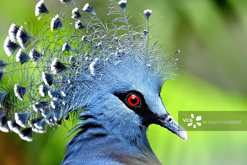 看着我图片素材