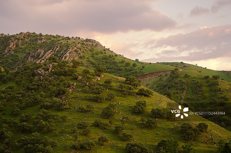 日落下的阴影图片素材