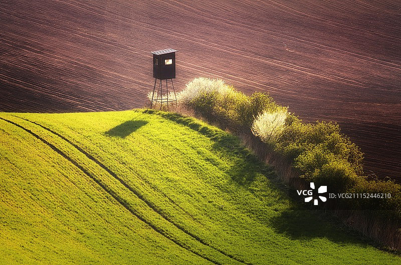 摩拉维亚田野图片素材