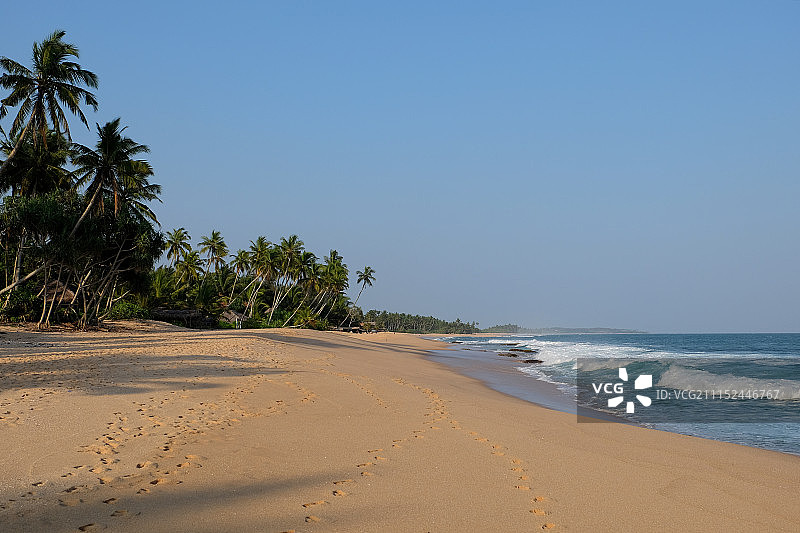 斯里兰卡巴拉皮蒂亚海滩图片素材