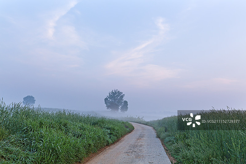 京畿道安城牧场风光图片素材