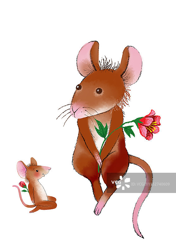 背景分离动物系列组图共3000多幅-老鼠拿花图片素材