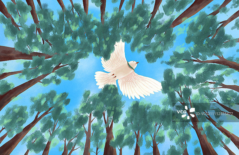 寄往远方的信07图片素材