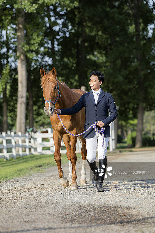 青年男人和马图片素材