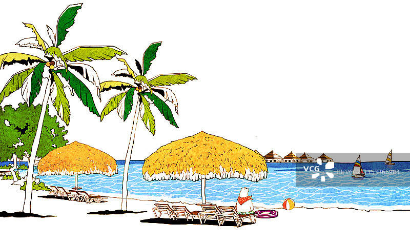 旅行熊图片素材