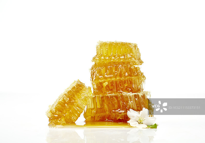 蜂窝的照片图片素材