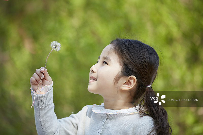 在公园里拿着蒲公英的小女孩图片素材