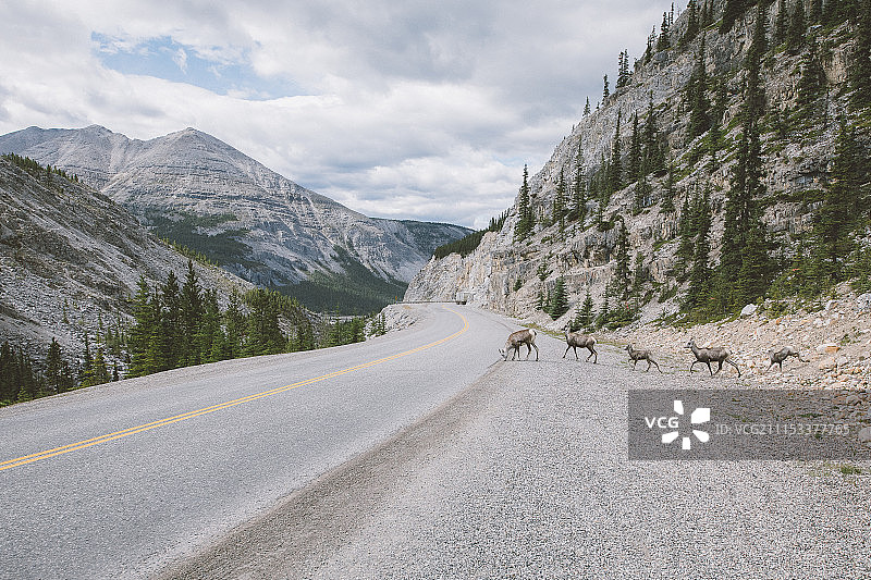 阿拉斯加公路392英里，不列颠哥伦比亚省图片素材