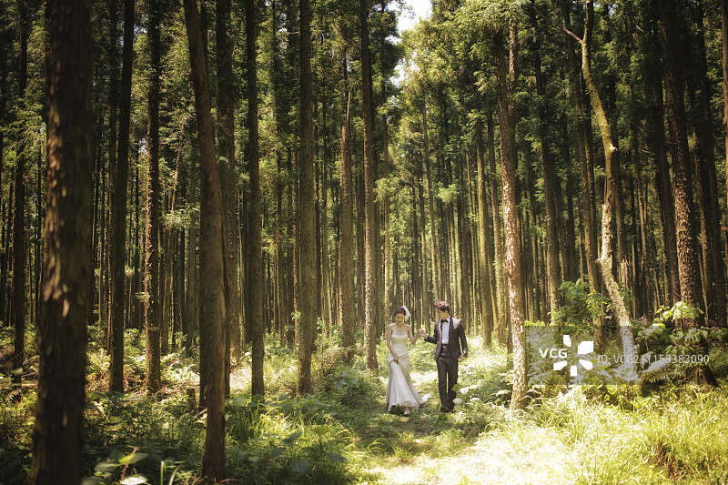 新娘和新郎在森林中手牵手同行图片素材