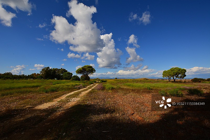 西格玛 IV图片素材