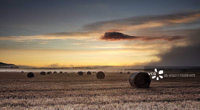 金色包捆图片素材