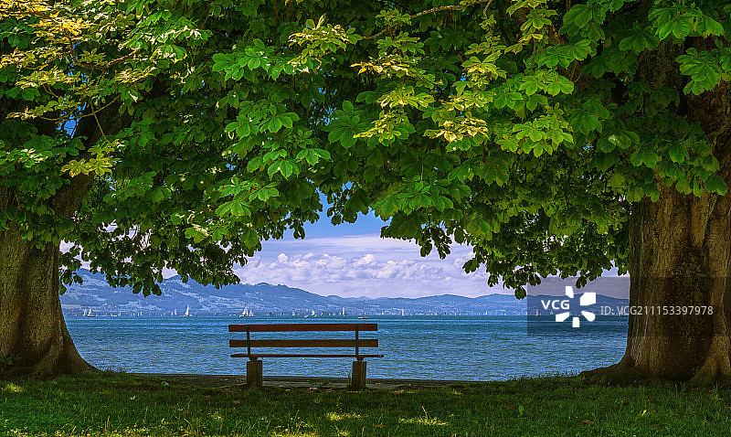 树木间的长椅，可欣赏博登湖图片素材