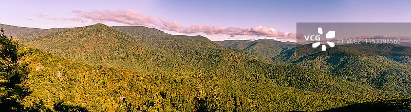 绿色粉色天堂图片素材