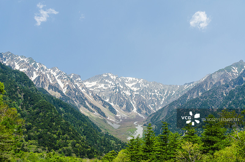 穗高山脉和上高地春天里的绿树图片素材