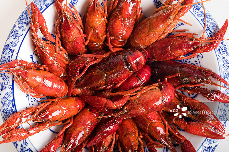 小龙虾图片素材