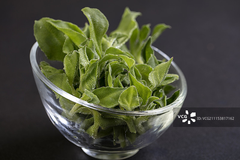 凉拌冰草图片素材