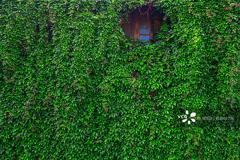 束河古镇图片素材