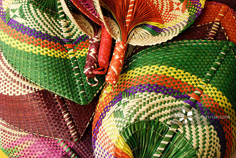 彩色露兜树扇子图片素材