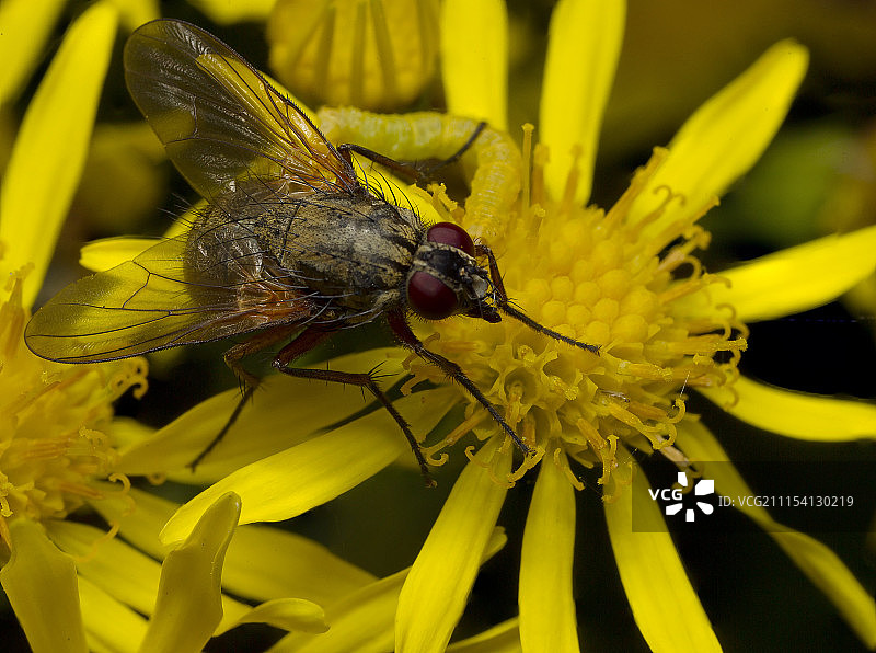 各种各样图片素材