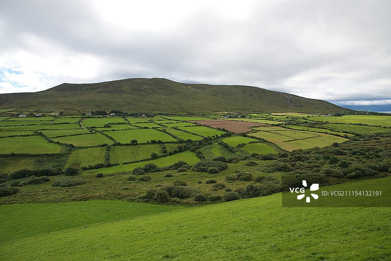 翠绿的爱尔兰图片素材