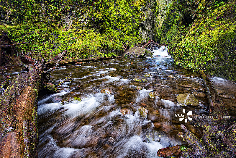 哥伦比亚河峡谷图片素材