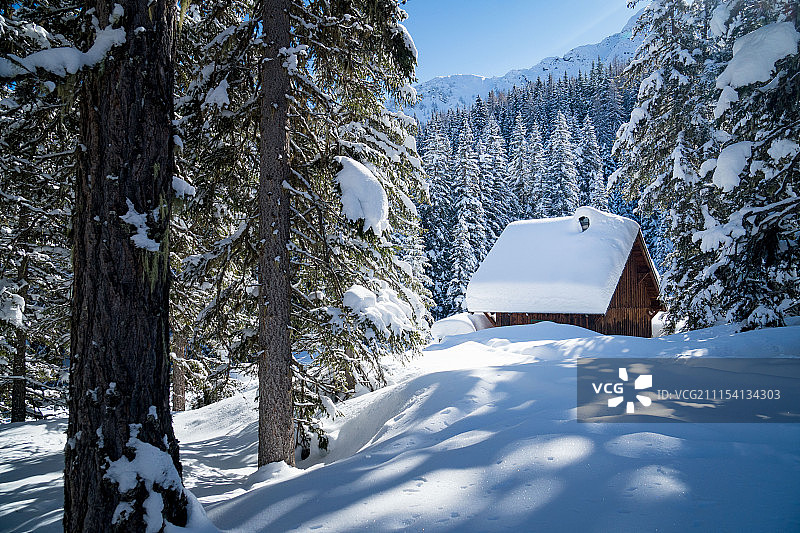 冬季仙境图片素材