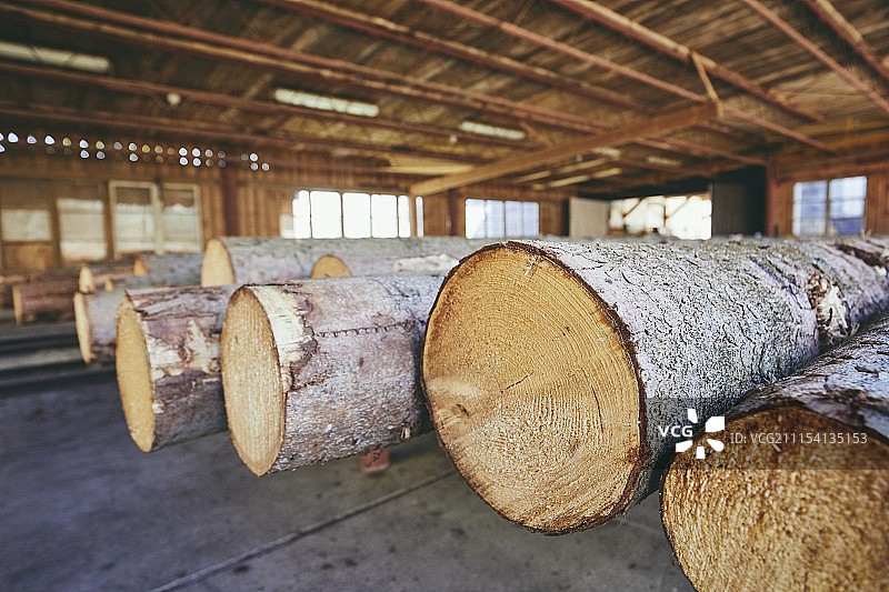 锯木厂的木材图片素材