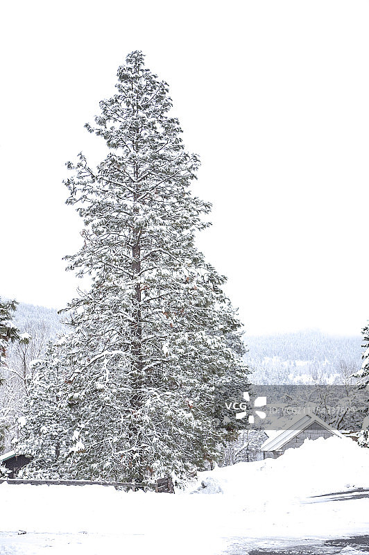 雪,雪景,西雅图,美国,北美洲,利文沃斯图片素材