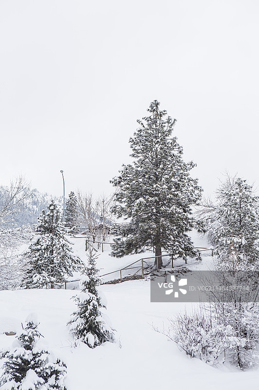 雪,雪景,西雅图,美国,北美洲,利文沃斯图片素材