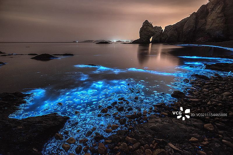 荧光海图片素材