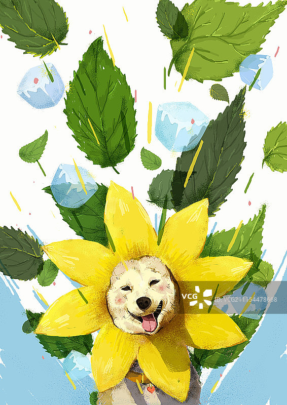 夏天与狗图片素材