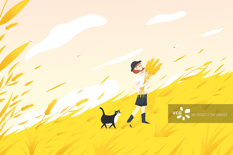 夏天的颜色图片素材