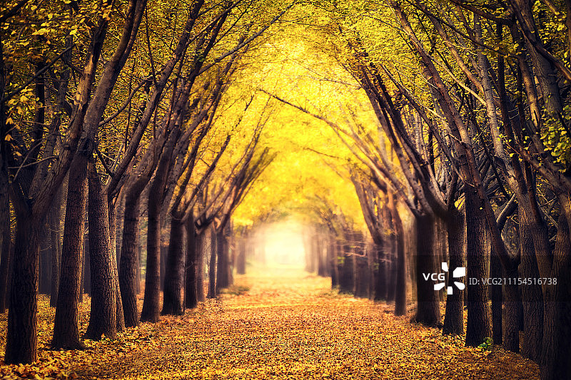 时光隧道图片素材