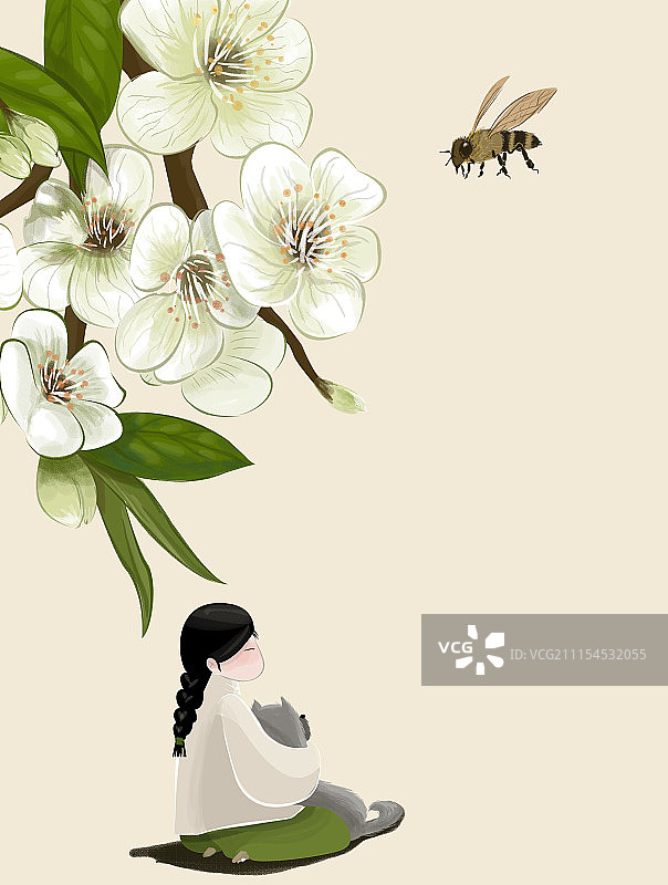 立夏-梨花图片素材