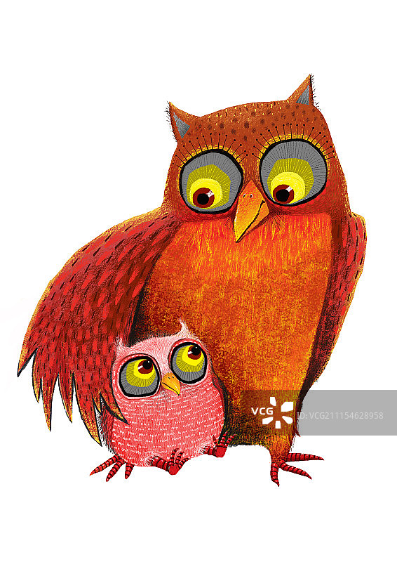 背景分离动物系列组图共3000多幅-红色猫头鹰图片素材