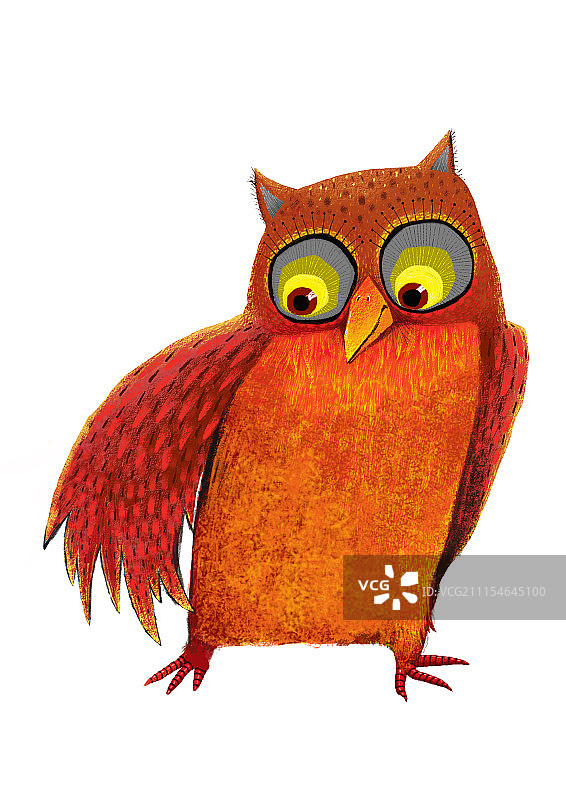 背景分离动物系列组图共3000多幅-红色猫头鹰图片素材