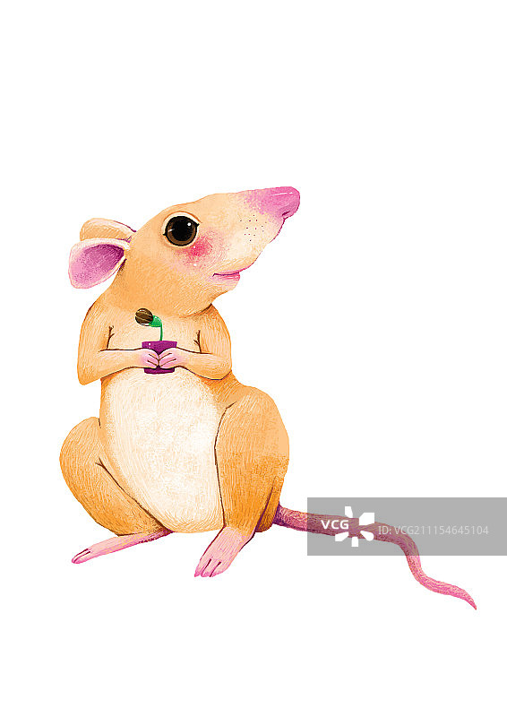 背景分离动物系列组图共3000多幅-抱着盆栽的老鼠图片素材